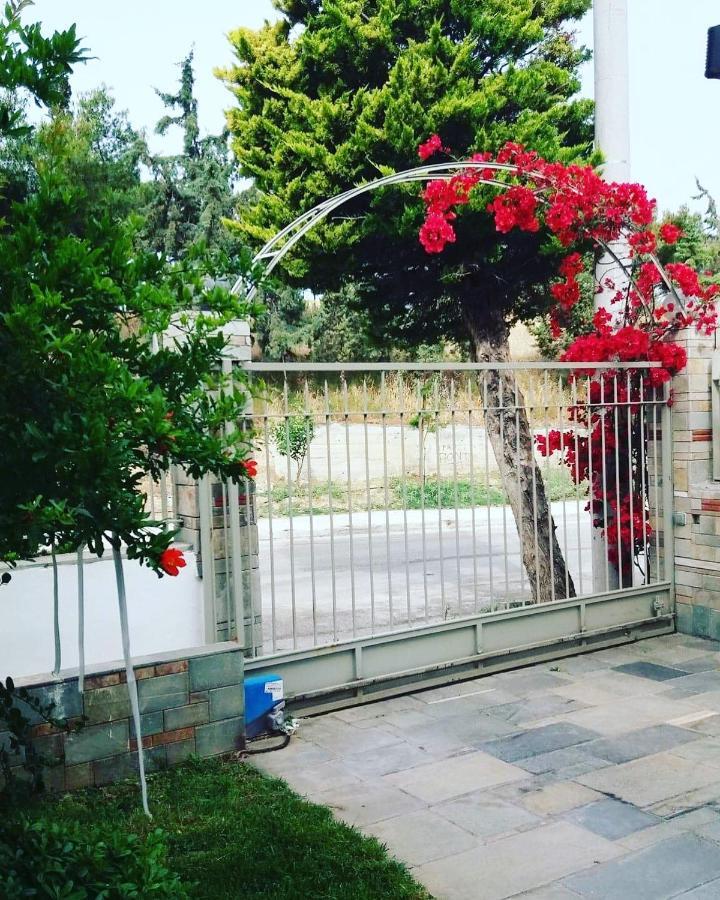 Fantastic Villa, A 5 Minute Drive From The Beach! Athens Luaran gambar