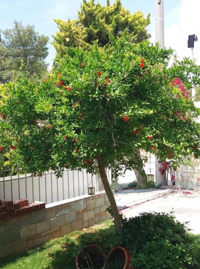 Fantastic Villa, A 5 Minute Drive From The Beach! Athens Luaran gambar