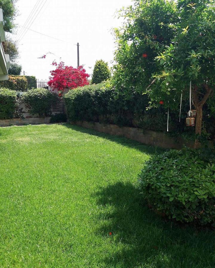 Fantastic Villa, A 5 Minute Drive From The Beach! Athens Luaran gambar