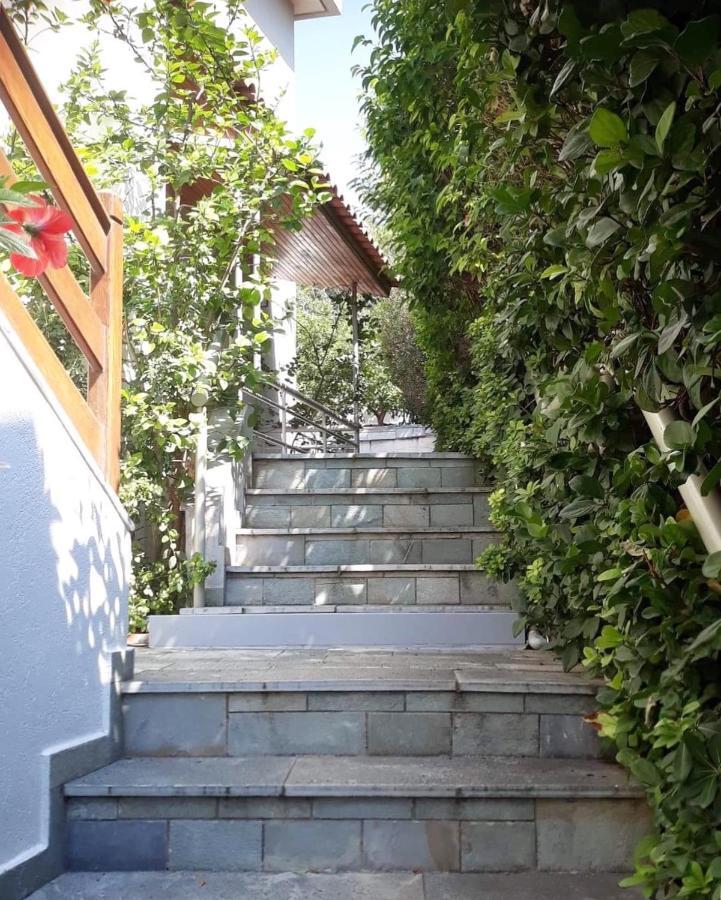 Fantastic Villa, A 5 Minute Drive From The Beach! Athens Luaran gambar